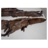Vintage Animal Pelts