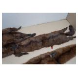 Vintage Animal Pelts