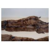 Vintage Animal Pelts