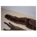 Vintage Animal Pelts