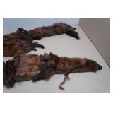 Vintage Animal Pelts
