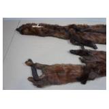 Vintage Animal Pelts