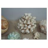 Seashells