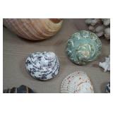 Seashells