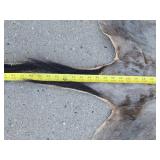 Genuine Animal Hide Rug