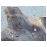 Genuine Animal Hide Rug