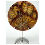 Polished Fossil Shell Mosaic Display on Stand