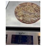 Polished Fossil Shell Mosaic Display on Stand