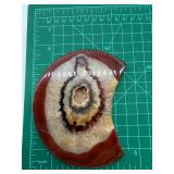 Polished Agate Slice on Stand