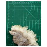 Quartz Crystal Carving Specimen