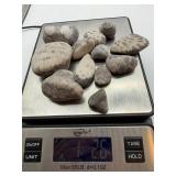 Petoskey Fossil Stones and Favosite Rugosa Mixed Lot (Lot of 11)