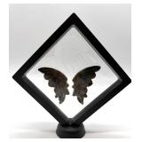 Carved Stone Butterfly Wings in Display Frame #1