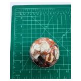 Polished Mexican Crazy Lace Stone Sphere on Driftwood Stand