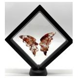 Carved Stone Butterfly Wings in Display Frame #4
