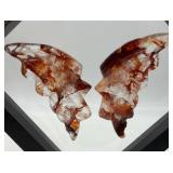 Carved Stone Butterfly Wings in Display Frame #4