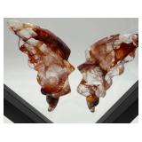 Carved Stone Butterfly Wings in Display Frame #4