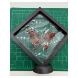Carved Stone Butterfly Wings in Display Frame #4