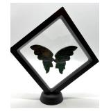 Carved Stone Butterfly Wings in Display Frame #5