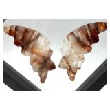 Carved Stone Butterfly Wings in Display Frame #6