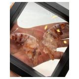 Carved Stone Butterfly Wings in Display Frame #6