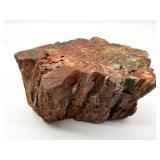 Petrified Wood Specimen