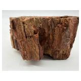 Petrified Wood Specimen