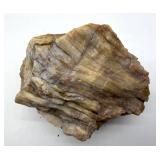 Large Petrified Wood Specimen 3 Lb 7 Oz