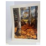 8 Vintage Unframed Nature Prints Various Photographers 14' X 11'