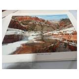8 Vintage Unframed Nature Prints Various Photographers 14' X 11'