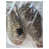 Bird House Decor - TR Pottery Decorative Assortment