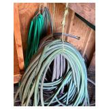 Garden Hoses - Assorted Coiled Hose Set