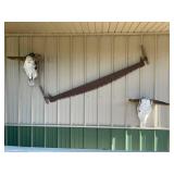 Longhorn Skull Wall Decor & Saw Blade Wall Art Mixed Lot