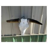 Longhorn Skull Wall Decor & Saw Blade Wall Art Mixed Lot