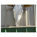 Longhorn Skull Wall Decor & Saw Blade Wall Art Mixed Lot