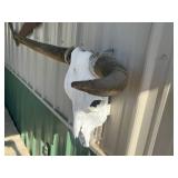 Longhorn Skull Wall Decor & Saw Blade Wall Art Mixed Lot