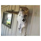 Longhorn Skull Wall Decor & Saw Blade Wall Art Mixed Lot