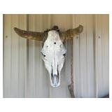 Longhorn Skull Wall Decor & Saw Blade Wall Art Mixed Lot