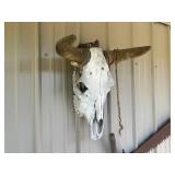 Longhorn Skull Wall Decor & Saw Blade Wall Art Mixed Lot
