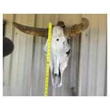 Longhorn Skull Wall Decor & Saw Blade Wall Art Mixed Lot