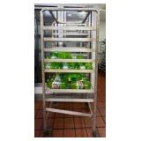 (2) NSF Rolling SS utility racks/speed racks