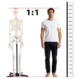 72.83-Inch Life-Size Human Skeleton Model with Detachable Skull & Movable Arms/Legs