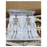 72.83-Inch Life-Size Human Skeleton Model with Detachable Skull & Movable Arms/Legs