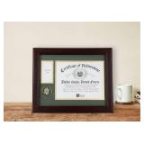 Allied Frame U.S. Army Medal and Award Frame with Medallion -13 x 16