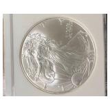 2006 AMERICAN SILVER EAGLE NGC MS69 2006 AMERICAN SILVER EAGLE NGC MS69