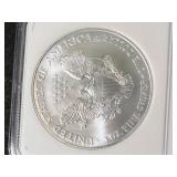 2006 AMERICAN SILVER EAGLE NGC MS69 2006 AMERICAN SILVER EAGLE NGC MS69