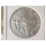 2007 AMERICAN SILVER EAGLE NGC MS69 2007 AMERICAN SILVER EAGLE NGC MS69
