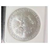 2007 AMERICAN SILVER EAGLE NGC MS69 2007 AMERICAN SILVER EAGLE NGC MS69