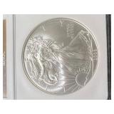 2008 AMERICAN SILVER EAGLE NGC MS69 2008 AMERICAN SILVER EAGLE NGC MS69