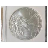 2009 AMERICAN SILVER EAGLE NGC MS69 2009 AMERICAN SILVER EAGLE NGC MS69