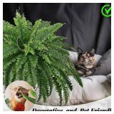 FOREST PRINCE 45' Fake Ferns, Realistic Large Artificial Bush Plants, 2 Artificial Boston Ferns with 59 Fronds for Outdoors Planter Indoor Home Garden Porch Decor